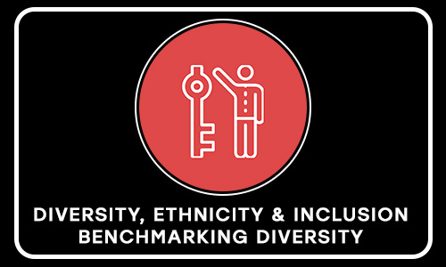 DIVERSITY, ETHNICITY, & INCLUSION BENCHMARKING