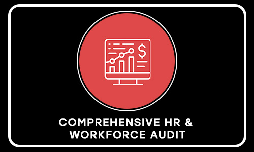 COMPREHENSIVE HR & WORKFORCE AUDIT